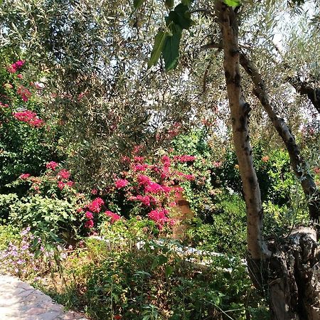Angelica Villas Hotel Apartments Epidaurus Luaran gambar