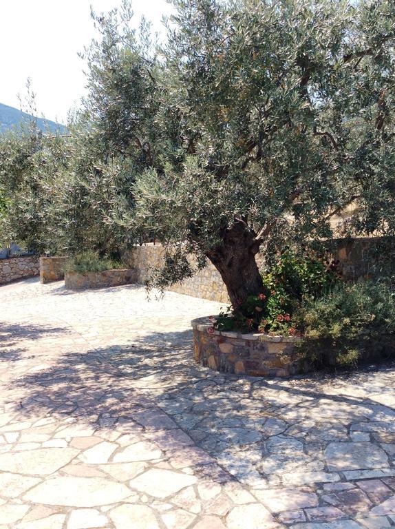 Angelica Villas Hotel Apartments Epidaurus Luaran gambar